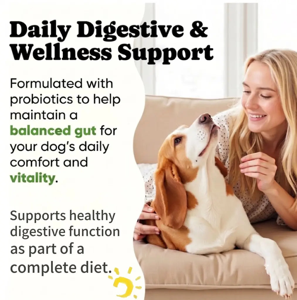 In-Stock Dog Probiotic Chewables - Canine Nutritional Supplement with Multivitamins, Fructooligosaccharide, Delicious Chicken Flavor, 6.35 Oz, 90 Soft Chews for Puppy Intestinal Flora Balance & Daily Wellness, Daily Canine Wellness Sohochic, Puppy Probiot
