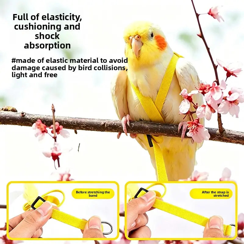 Bird Training Harness & Leash Set with Adjustable Vest, Escape-Proof Ultra-Lightweight Accessory with Elastic Cords for Cockatiels, Conures (Outdoor Flying Use)