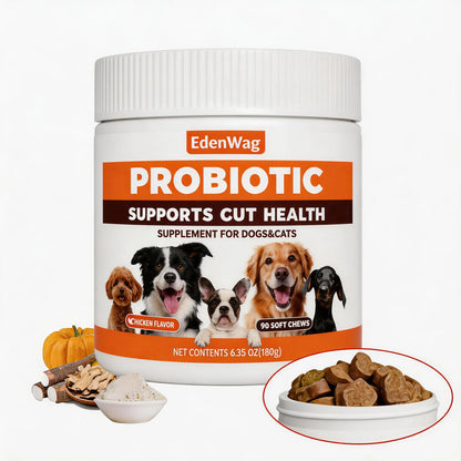 In-Stock Dog Probiotic Chewables - Canine Nutritional Supplement with Multivitamins, Fructooligosaccharide, Delicious Chicken Flavor, 6.35 Oz, 90 Soft Chews for Puppy Intestinal Flora Balance & Daily Wellness, Daily Canine Wellness Sohochic, Puppy Probiot