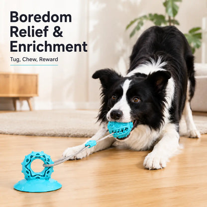 Interactive Dog Chew Toy with Suction Cup, Treat Dispensing Tug Toy for Bored Dogs, Durable TPR Teeth Cleaning Ball with Rope, Puzzle Feeder & Enrichment Toy for Puppies and Small Medium Dogs, Indoor Self-Play Training Toy