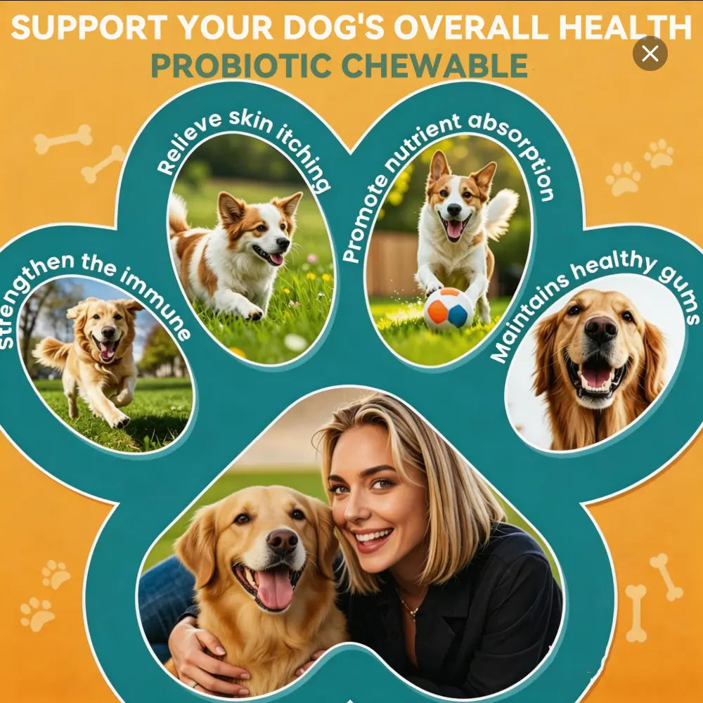In-Stock Dog Probiotic Chewables - Canine Nutritional Supplement with Multivitamins, Fructooligosaccharide, Delicious Chicken Flavor, 6.35 Oz, 90 Soft Chews for Puppy Intestinal Flora Balance & Daily Wellness, Daily Canine Wellness Sohochic, Puppy Probiot
