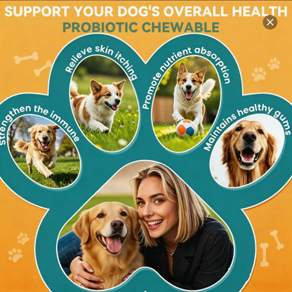 In-Stock Dog Probiotic Chewables - Canine Nutritional Supplement with Multivitamins, Fructooligosaccharide, Delicious Chicken Flavor, 6.35 Oz, 90 Soft Chews for Puppy Intestinal Flora Balance & Daily Wellness, Daily Canine Wellness Sohochic, Puppy Probiot