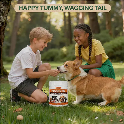 In-Stock Dog Probiotic Chewables - Canine Nutritional Supplement with Multivitamins, Fructooligosaccharide, Delicious Chicken Flavor, 6.35 Oz, 90 Soft Chews for Puppy Intestinal Flora Balance & Daily Wellness, Daily Canine Wellness Sohochic, Puppy Probiot